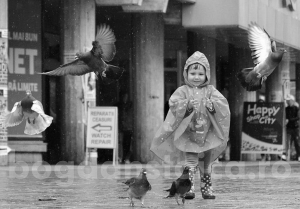 kids, birds & rain